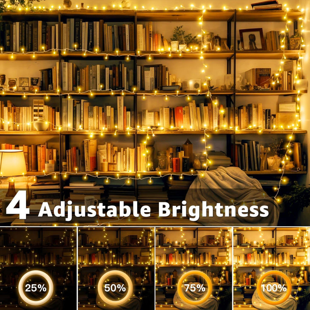 Ollny 10m 100 LED Fairy Lights Mains Powered, Outdoor Waterproof String Light with Remote/Plug/Modes/Timer, Bright Warm White Lighting Outside Indoor Garden Tree Decorations